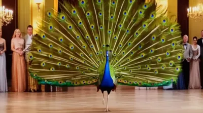 Illustration prances - Image 1