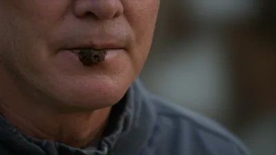 Illustration chew - Image 1