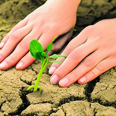 Hình ảnh minh họa humanize - Ảnh 1