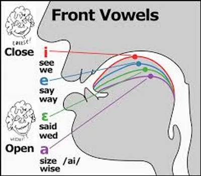 Illustration front - Image 2