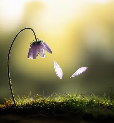 Illustration yielding - Image 1