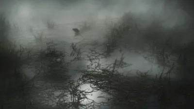 Illustration gross - Image 1