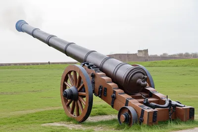 Illustration culverin - Image 1