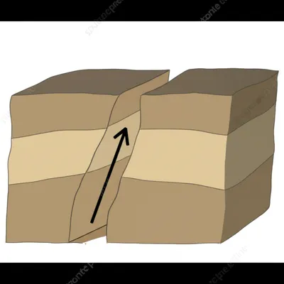 Illustration rake - Image 1