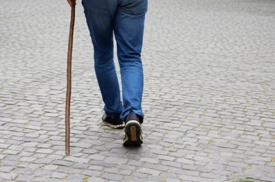 Illustration hobbled - Image 1