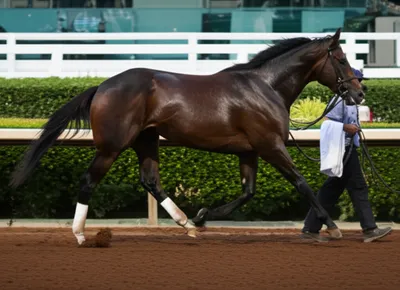 Illustration sweat - Image 1