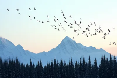 Illustration northerly - Image 1