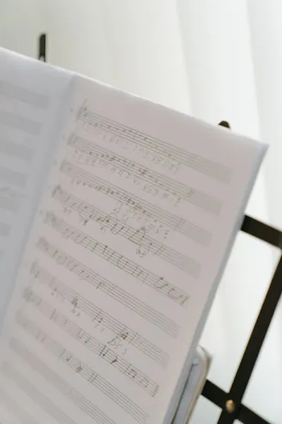 Illustration polyphony - Image 2