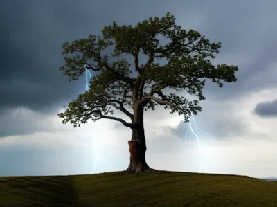 Illustration stood - Image 1