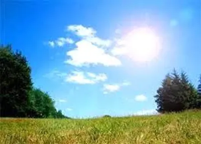 Illustration fair - Image 3