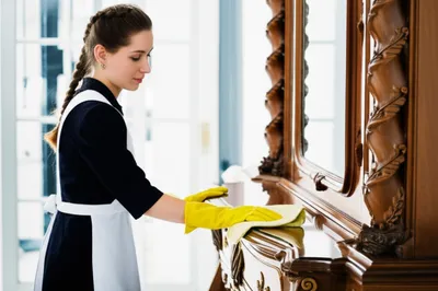 Illustration domestic