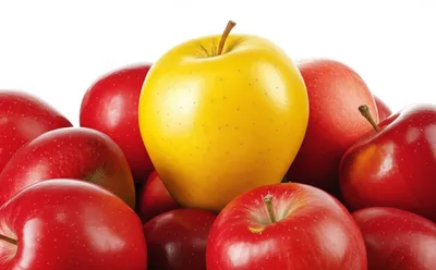 Illustration excellent - Image 1