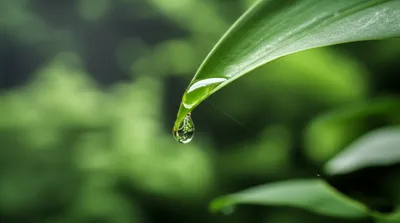 Illustration stilling - Image 1