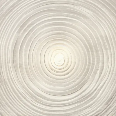 Illustration pith - Image 1