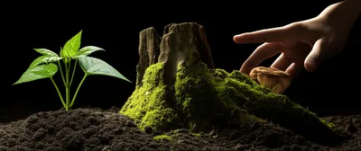 Illustration morbid - Image 1