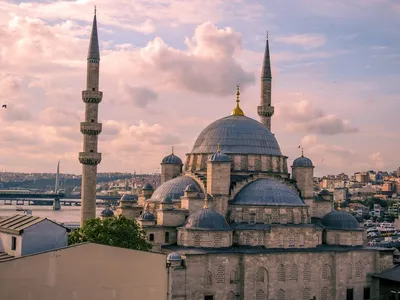 Illustration sultans - Image 2