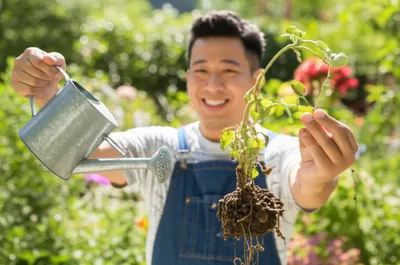 Illustration support - Image 1