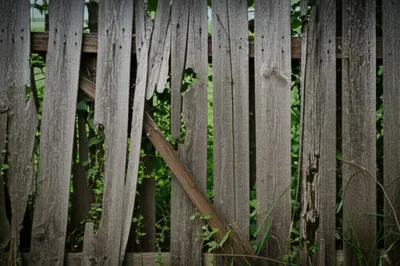 Illustration tattered - Image 1