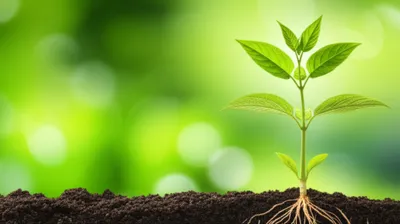 Illustration stretching - Image 1