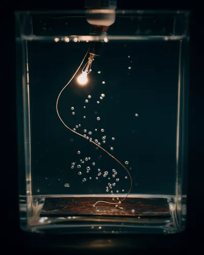 Illustration neg - Image 1