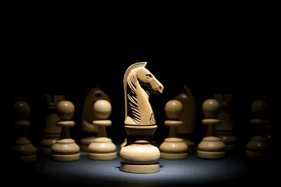 Illustration specialized - Image 1