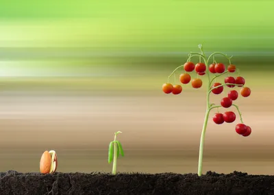 Illustration accelerating - Image 1