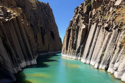 Illustration narrows - Image 1