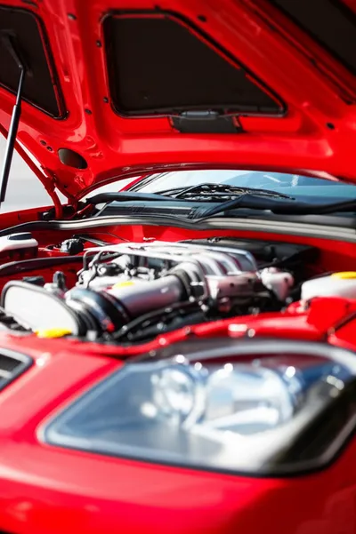 Illustration hoods - Image 1