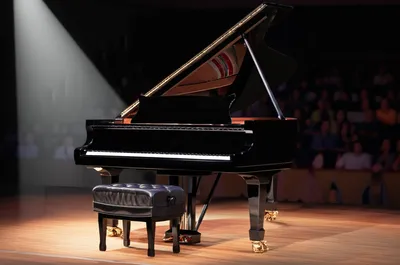 Illustration gee - Image 1