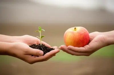 Illustration coping - Image 1