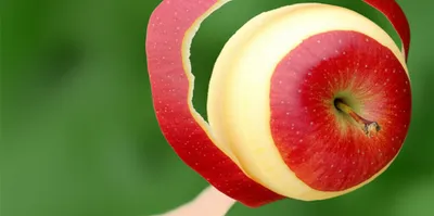 Illustration skeleton - Image 1