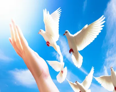 Illustration excuses - Image 1