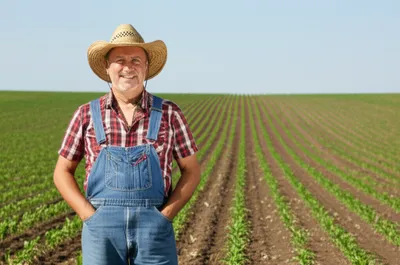 Illustration colon - Image 1