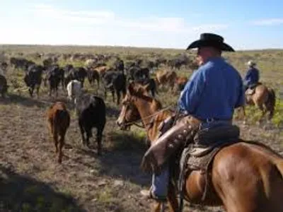 Illustration drive - Image 3