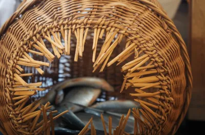 Hình ảnh minh họa rip - Ảnh 1