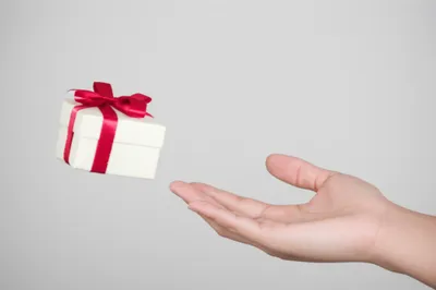 Illustration offering - Image 1