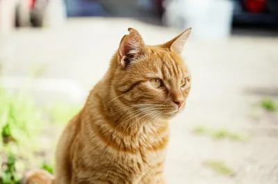 Illustration tip - Image 1