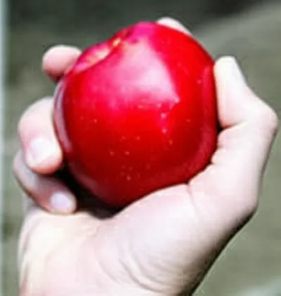 Illustration taken - Image 1