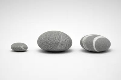 Illustration galliard - Image 1