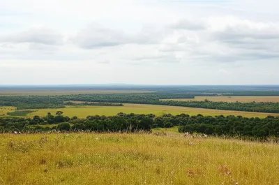 Illustration broadly - Image 1