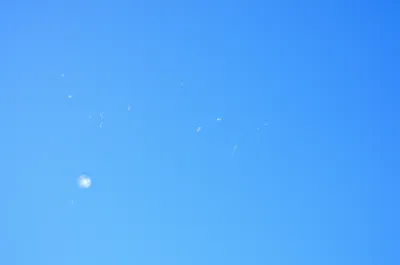 Illustration floaters - Image 1