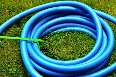 Illustration looped - Image 1