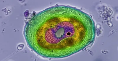 Illustration artifact - Image 1