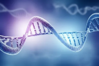 Illustration transfer - Image 1