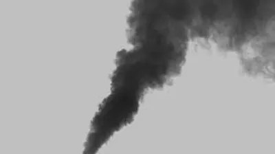 Illustration plume - Image 3