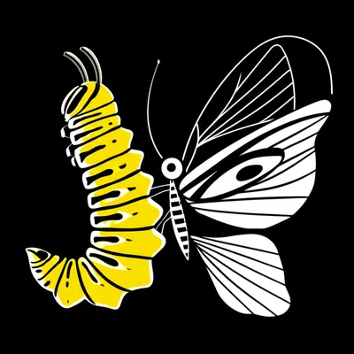 Illustration rebrand - Image 1