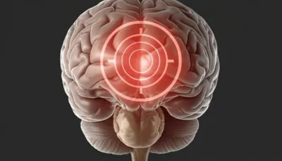 Illustration apricots - Image 1