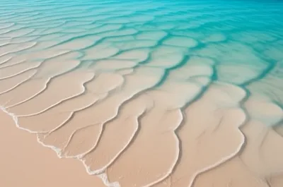 Illustration scalloping