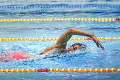 Illustration crawl - Image 2