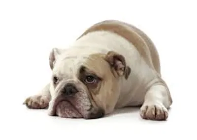 Illustration dejection - Image 2